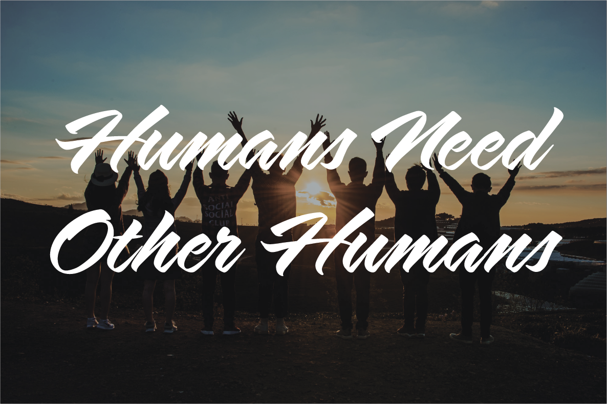 Humans Need Other Humans - REAP Performance